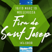 Sant Josep 2019